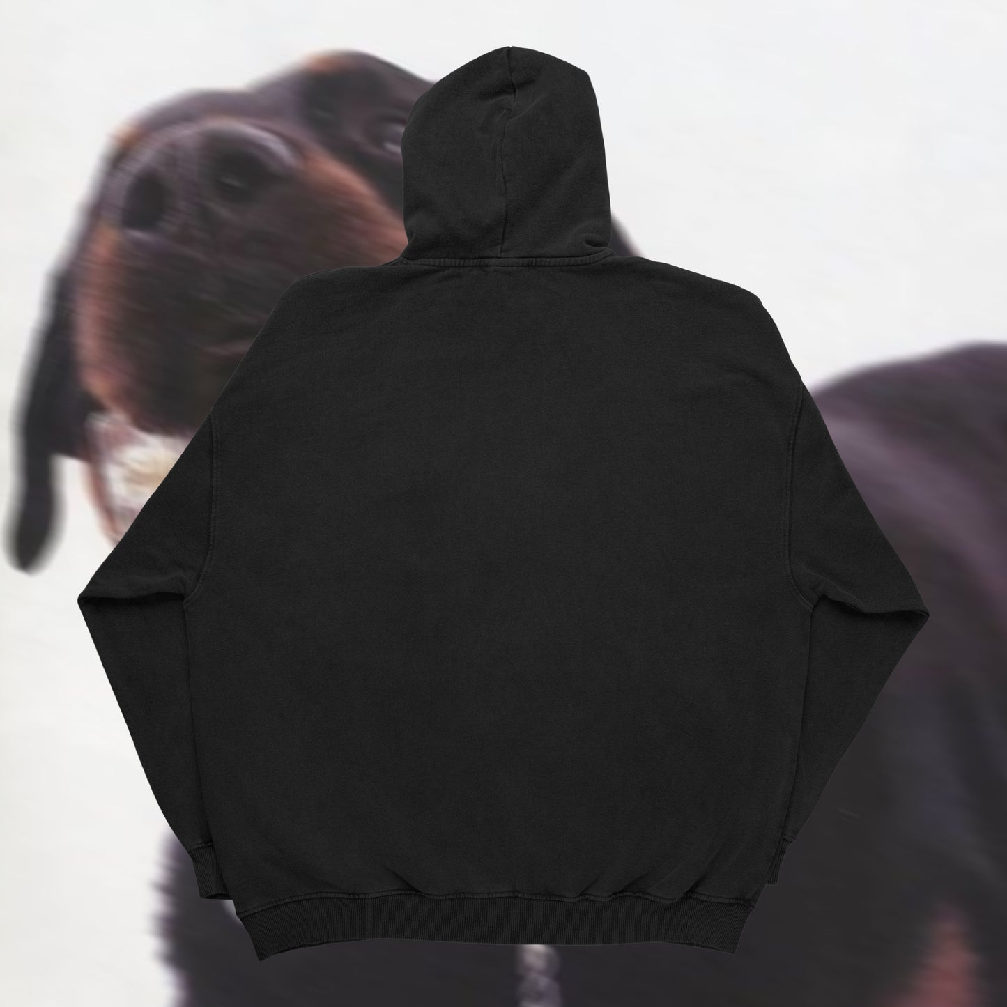 UNDERDOG HOODIE